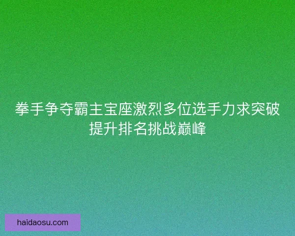 拳手争夺霸主宝座激烈多位选手力求突破提升排名挑战巅峰
